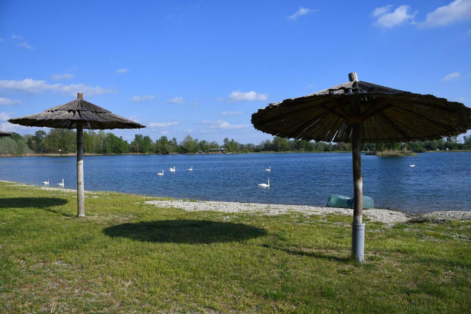 03.05.2021., Legrad - Turisticka patrola Vecernjeg lista. Legrad. Popularno izletiste, jezero Soderica poznato i kao podravsko more ujedno je dom brojnih labudova. 
Photo:Damir Spehar/PIXSELL