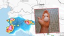 FOTO Snažno nevrijeme pogodilo Istru, ledene gromade padale po Rovinju: 'Ne sjećamo se ovako krupne tuče'