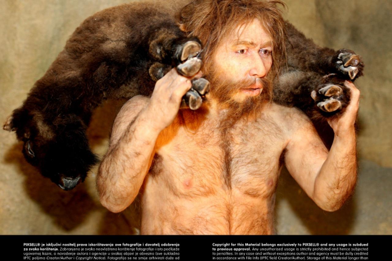 '23.02.2010., Krapina - Uredjenje i zavrsne pripreme za otvorenje Muzeja krapinskog neandertalca.  Photo: Boris Scitar/PIXSELL'