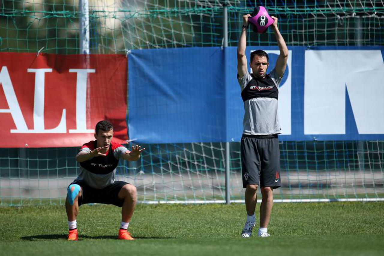 Milan Badelj