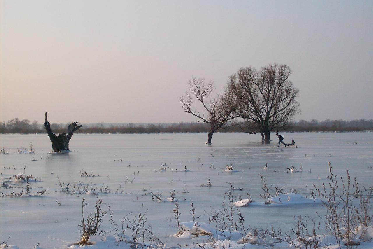 Park prirode Lonjsko polje