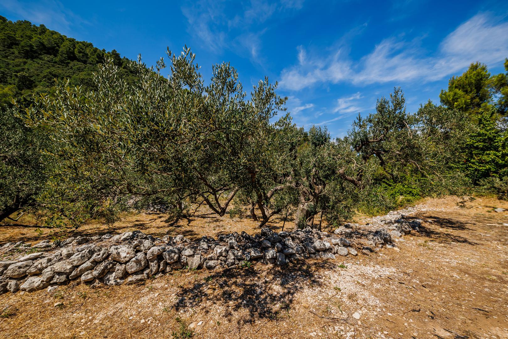 Uvala obiluje bujnim mediteranskim raslinjem koje nudi prirodni hlad. More u uvali je plitko, čineći plažu idealnom za obitelji s djecom. Plaža je nastala na mjestu nekadašnjeg kamenoloma te se sastoji od većih oblutaka. 