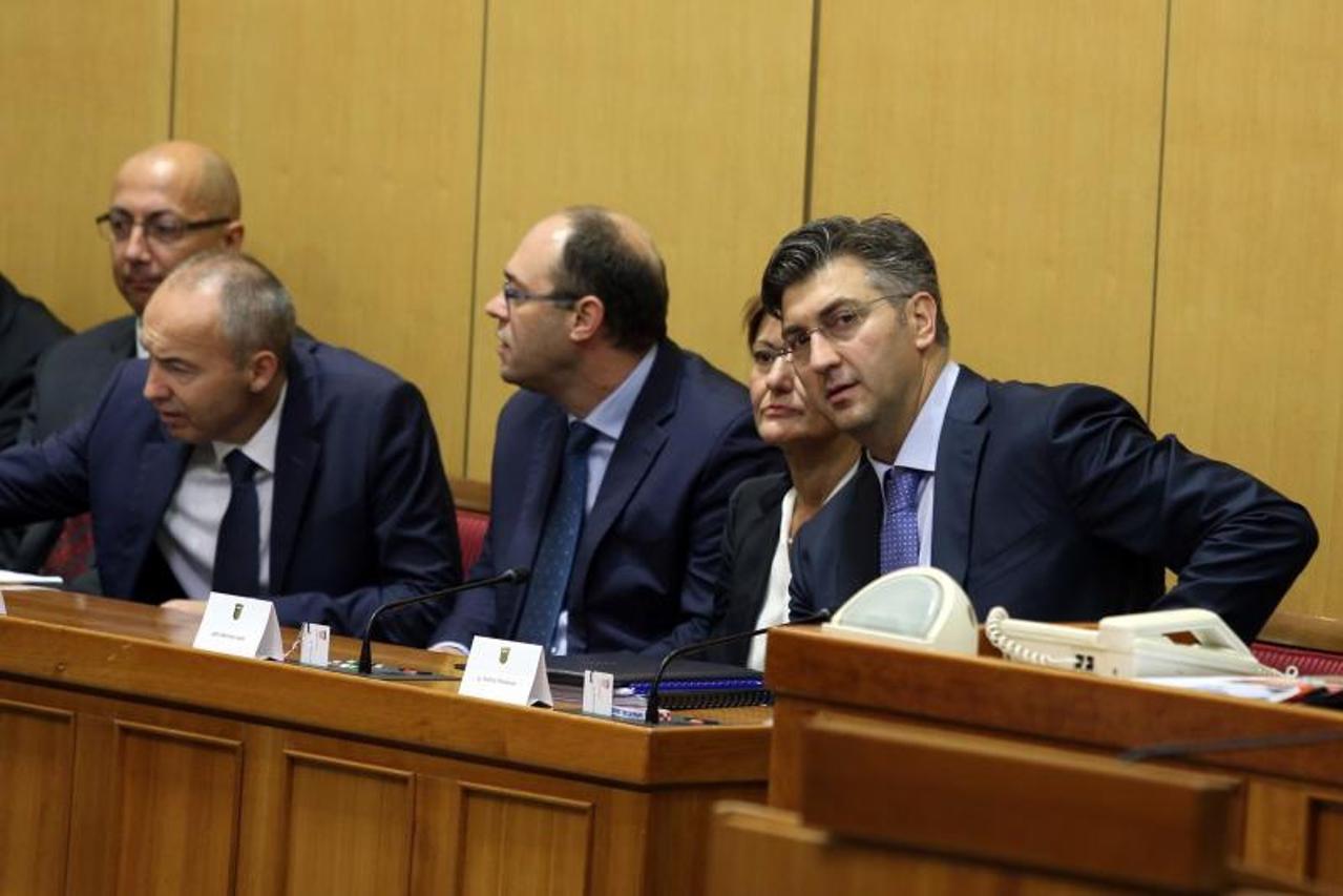 Sabor, plenković