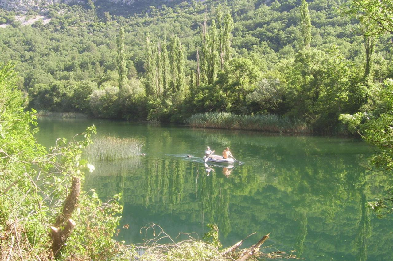 Pas zavezan u Cetini (1)