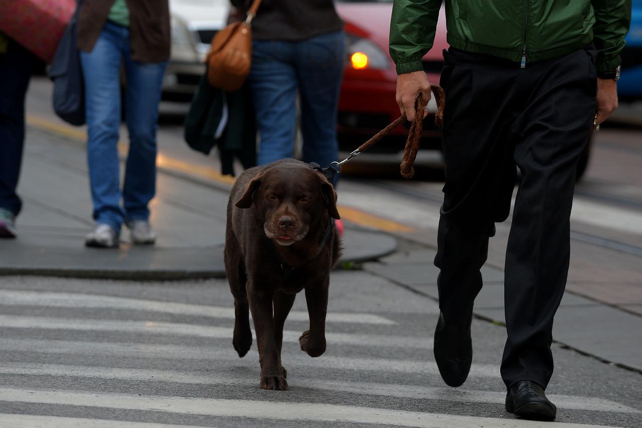 Zagreb: Akcija Dan ljubaznosti u prometu
