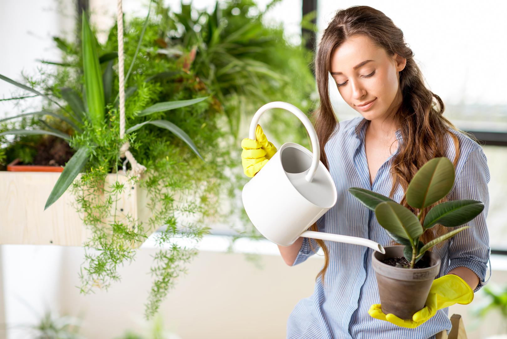 Najveći izazov je shvatiti koliko je sunčeve svjetlosti i vode potrebno biljkama, ali i trebaju li biti vani ili unutra. Tri od deset ispitanika rekli su da im je najveća lekcija u posjedovanju biljke bila kako ju je jednostavno uništiti ako ne brinete dovoljno.