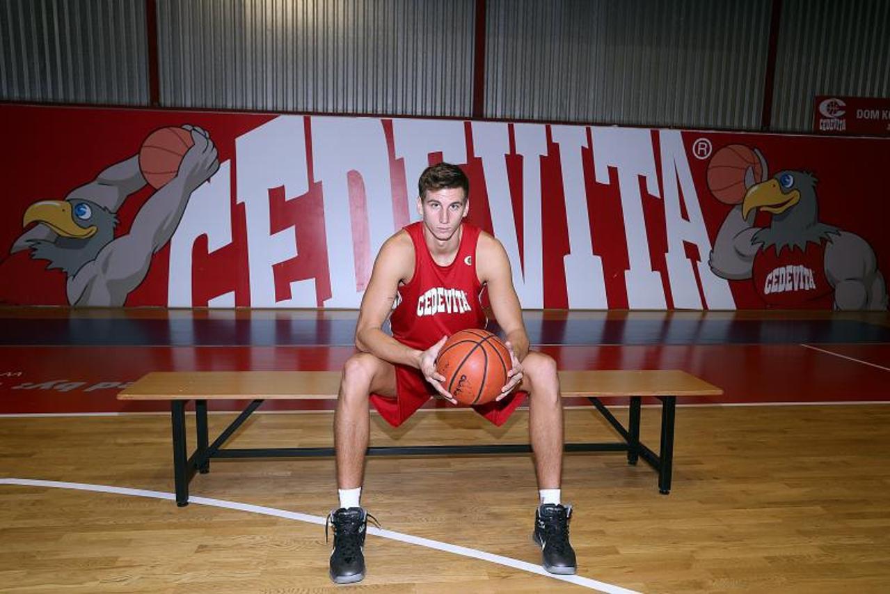 Tomislav Zubčić, Cedevita (1)
