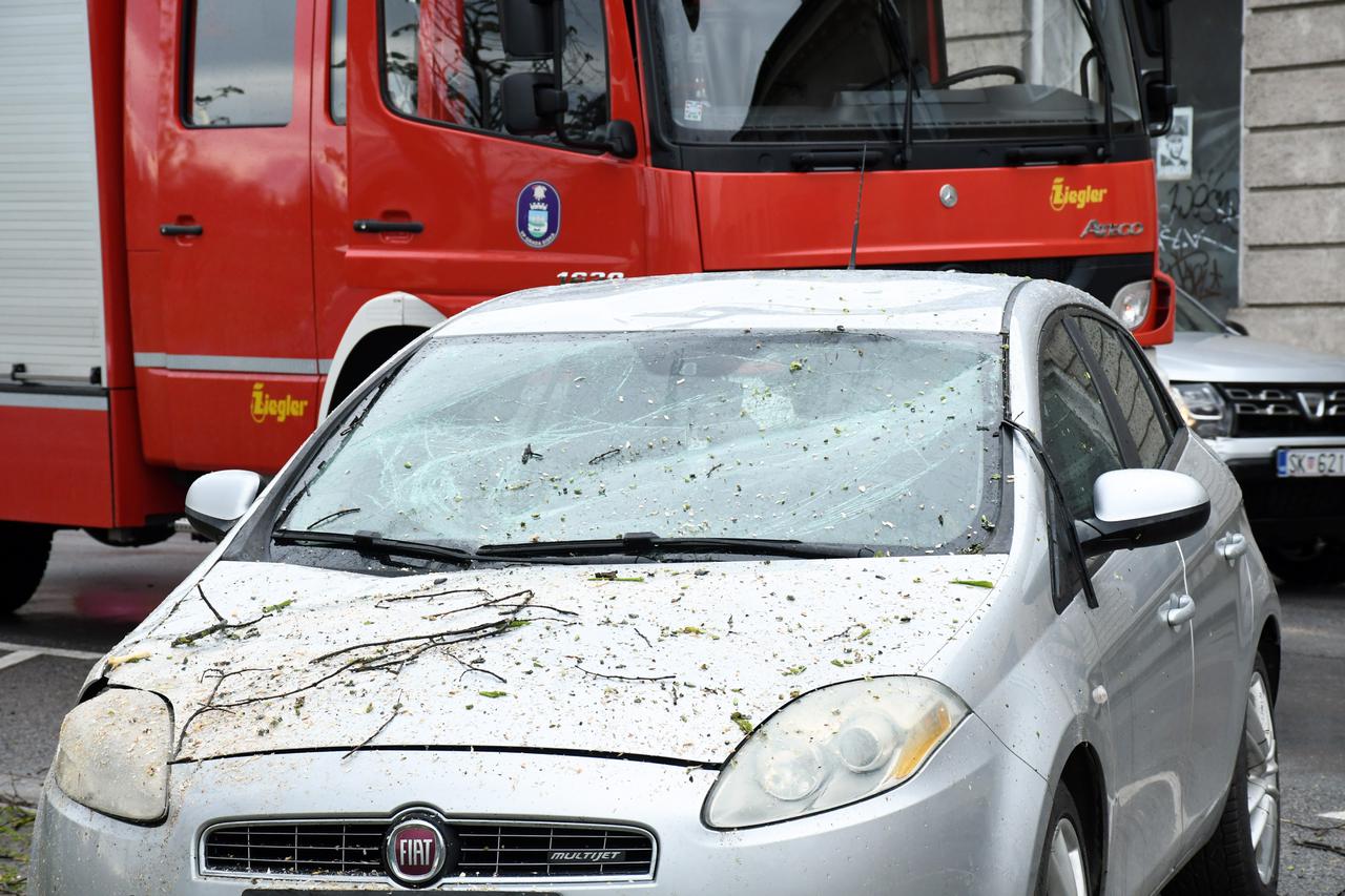 Sisak: Intervenirali vatrogasci nakon što je jaki vjetar oborio  stablo na automobil