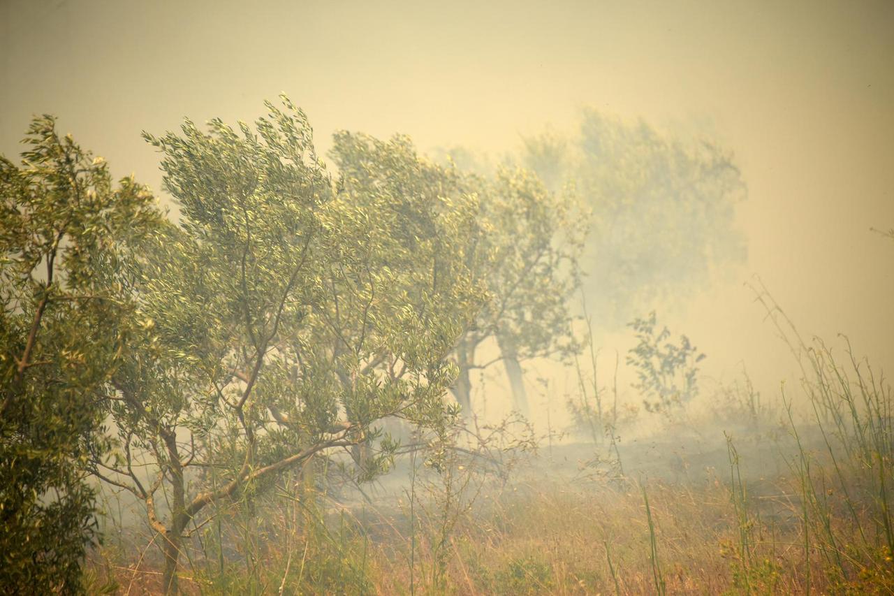ARHIVA - U naselju Valdebek u Puli ponovno je izbio veliki požar, gašenju su se pridružili i kanaderi