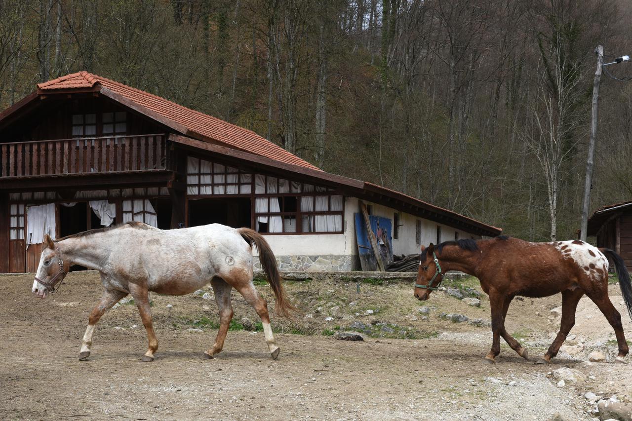 14.04.2015., Zumberak -  Eko selo na Zumberku.  Photo: Davor Visnjic/PIXSELL