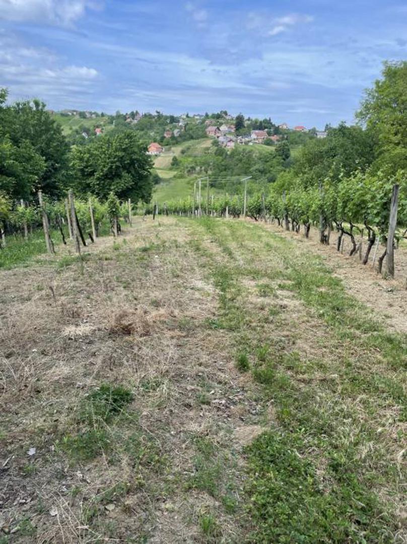 Prilaz je zemljani put - makadam.

