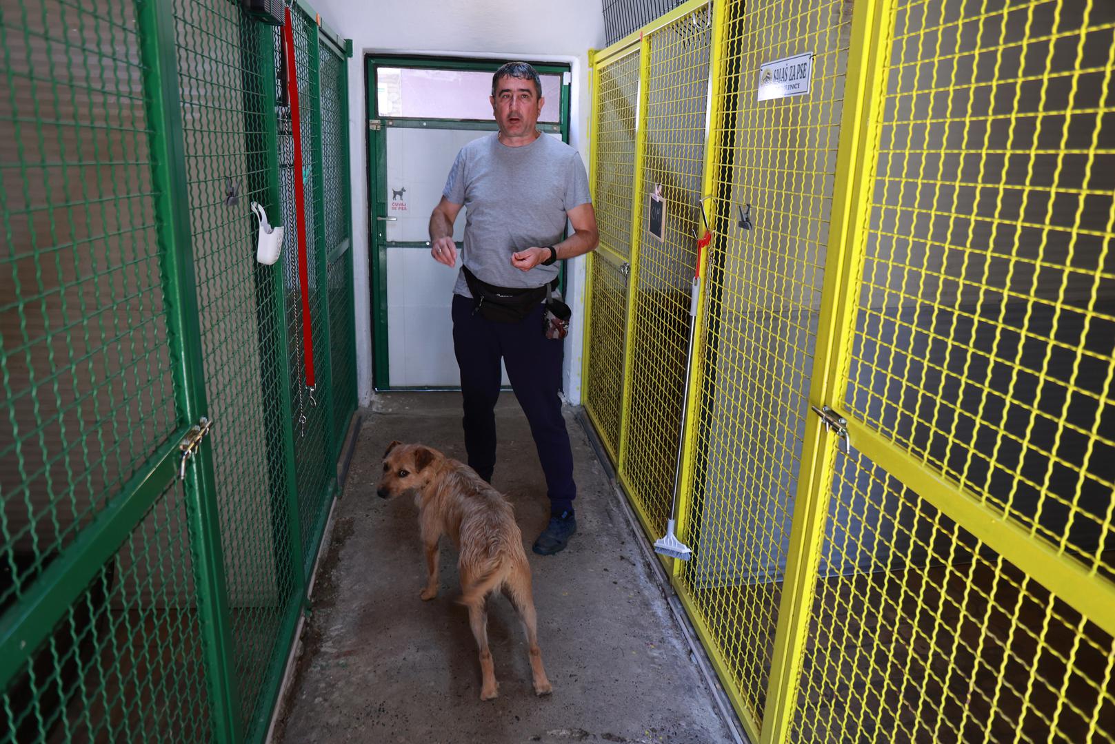 Napominje kako tu bude pasa koji se nekada i ne slažu međusobno, koji nisu jako aktivni, plašljivih, ima pomalo tužnih, ali samo u početku - brzo se naviknu na novu okolinu i krene zabava.
