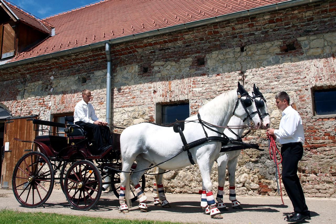 Kočija