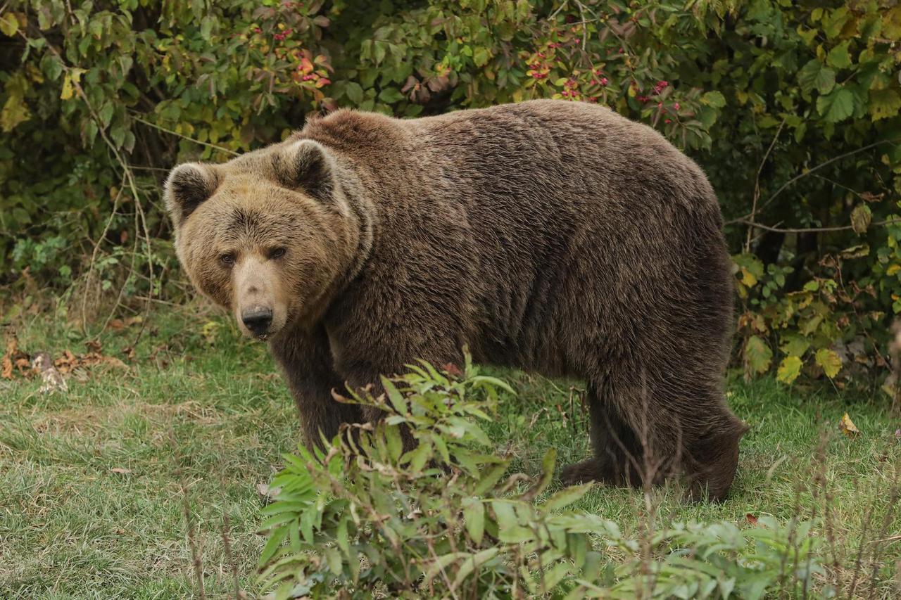 Život u malom podvelebitskom mjestu Krasnu