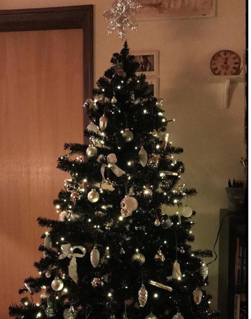 Ove godine zeleno i crveno pada u zaborav, barem u SAD-u, gdje je pravi božićni hit postalo - umjetno drvce crne boje. 