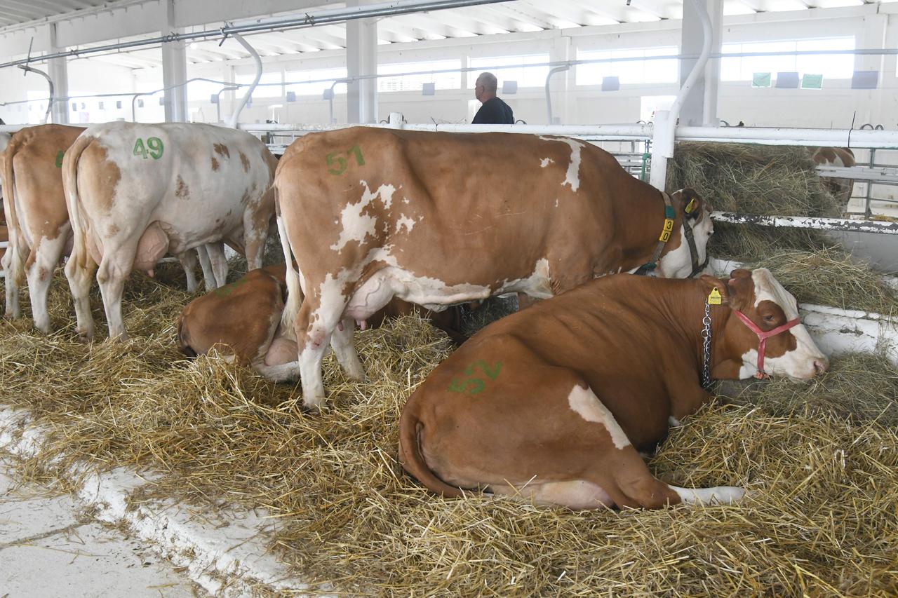 Gudovac: 32. izdanje međunarodnog jesenskog sajma