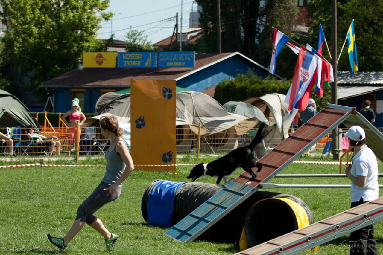 Agility natjecanje (1)