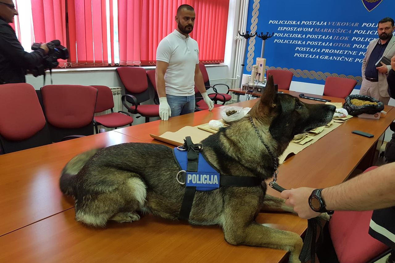 Zapljena droge u Vukovaru