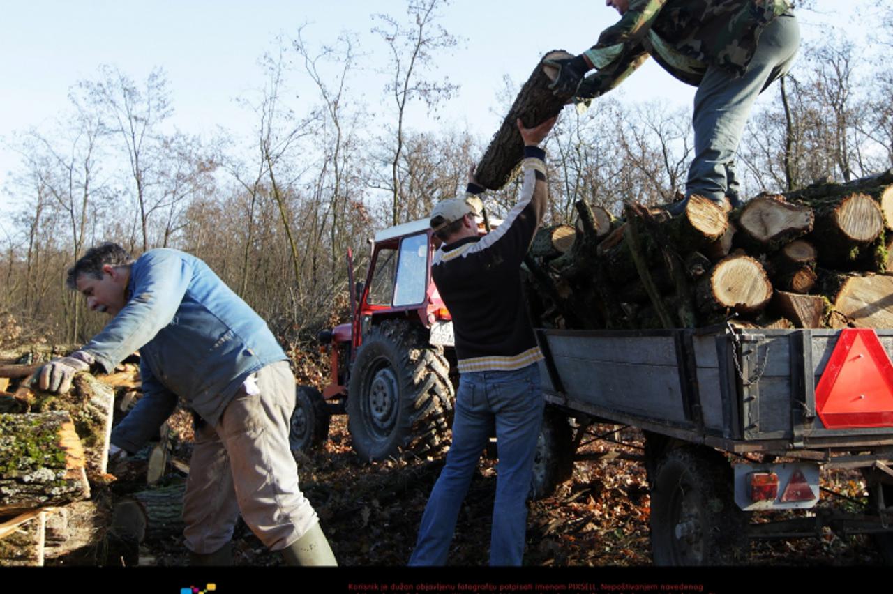 '13.12.2011., Koprivnica - Brojna podravska kucanstva opskrbljuju se drvima za ogrjev iz suma kojima gospodare Hrvatske sume. Nakon sto sumari poruse stabla i odvezu trupce, vrhove drveca i dijelove k