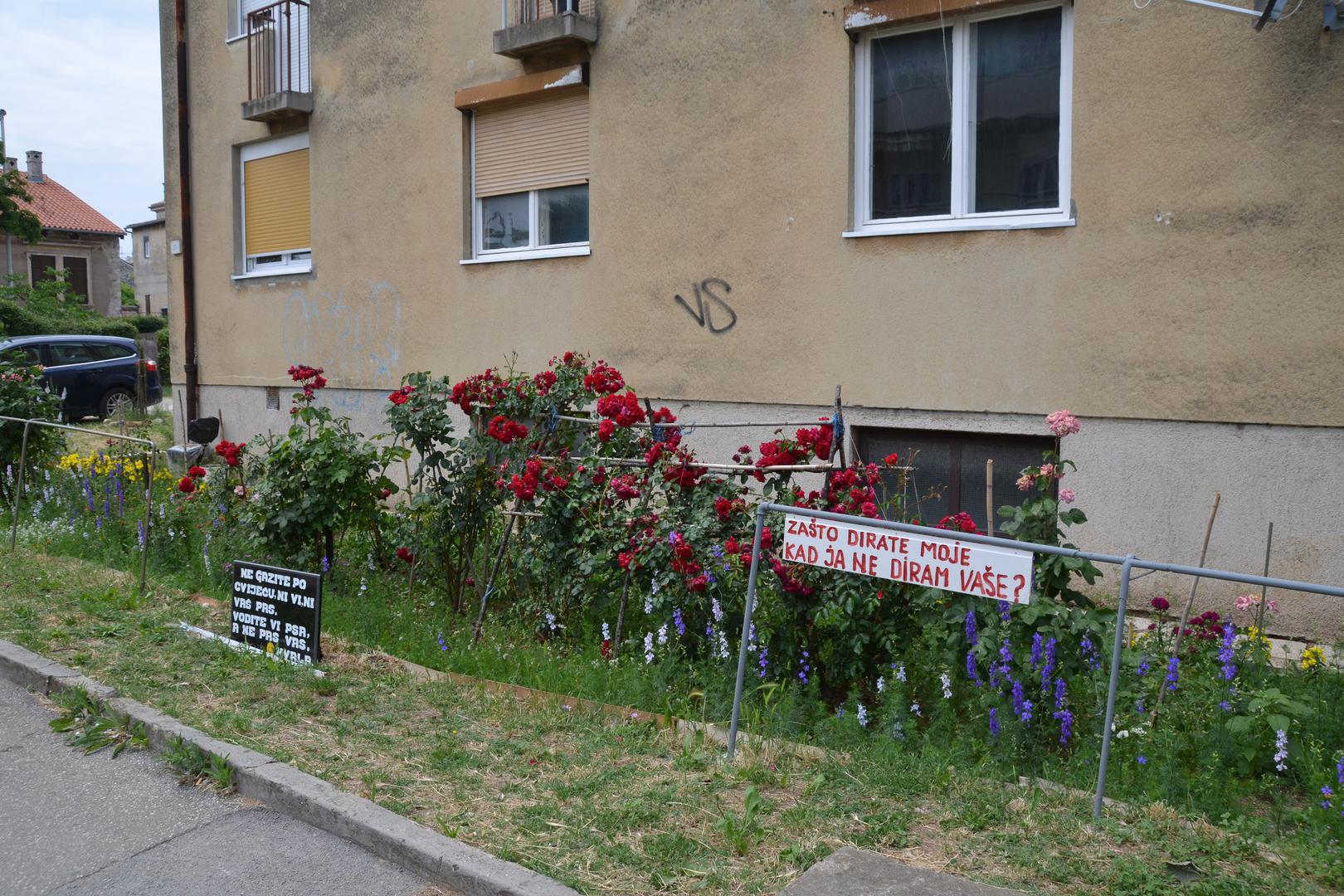 Tamo su ispred zgrade osvanuli natpisi kojima se upozorava građane da ne hodaju po cvijeću i da ne čupaju ruže.