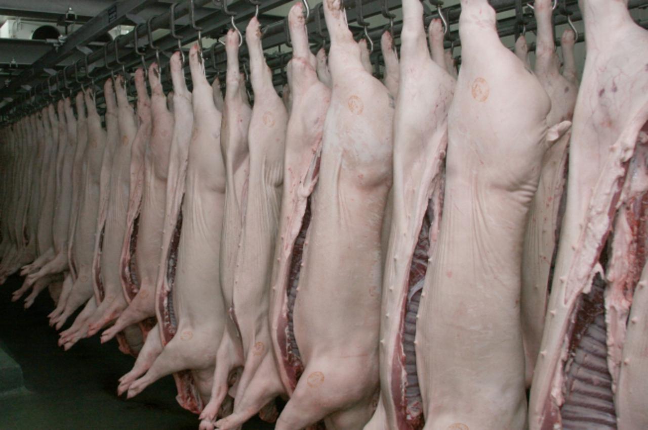 '06.02.2009., Cakovec - Vajda, cakovecka mesna industrija.  Photo: Zarko Basic/Poslovni dnevnik/PIXSELL'