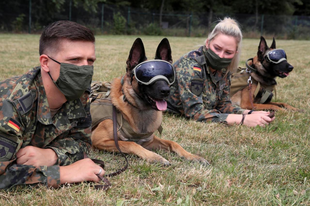 German Army trains sniffing dogs to detect the coronavirus disease (COVID-19) in Daun