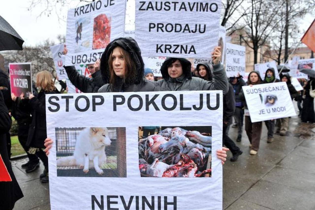 krzno