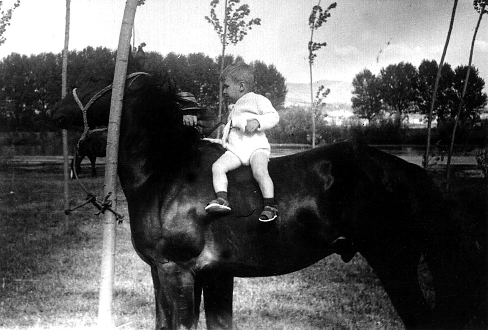 Zoran Milanović rođen je 1966. u Zagrebu