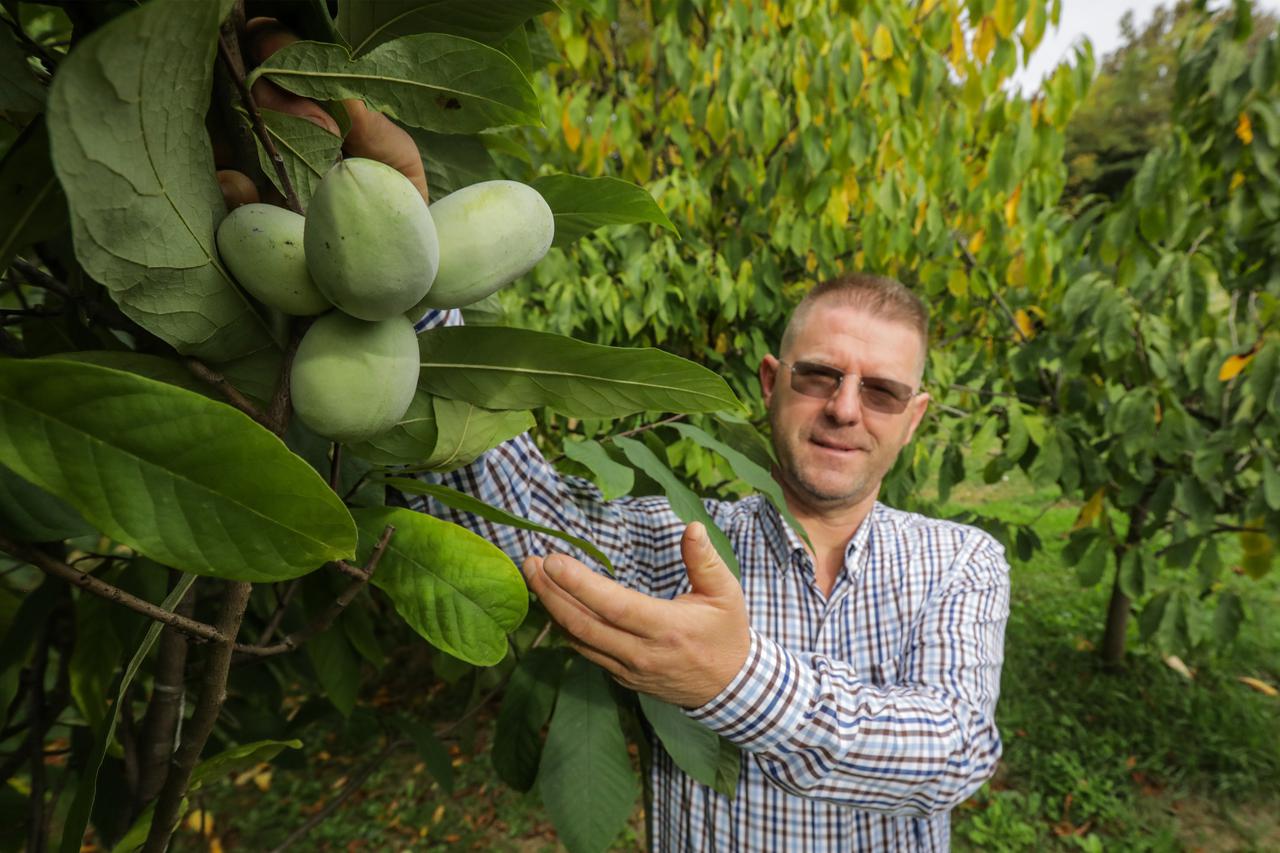 Ivan Šulog