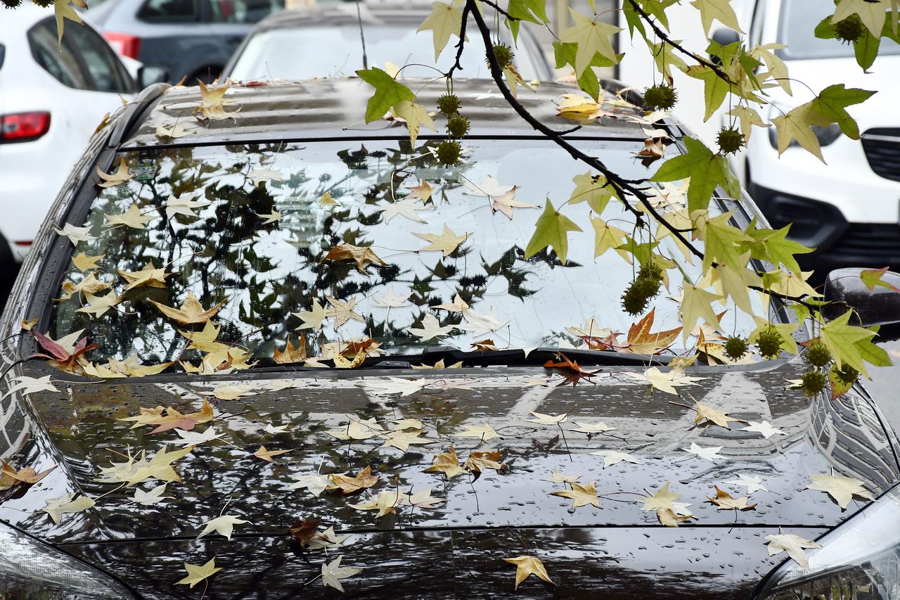 Sisak: Otpalo lišće s drveća prekriva automobile 