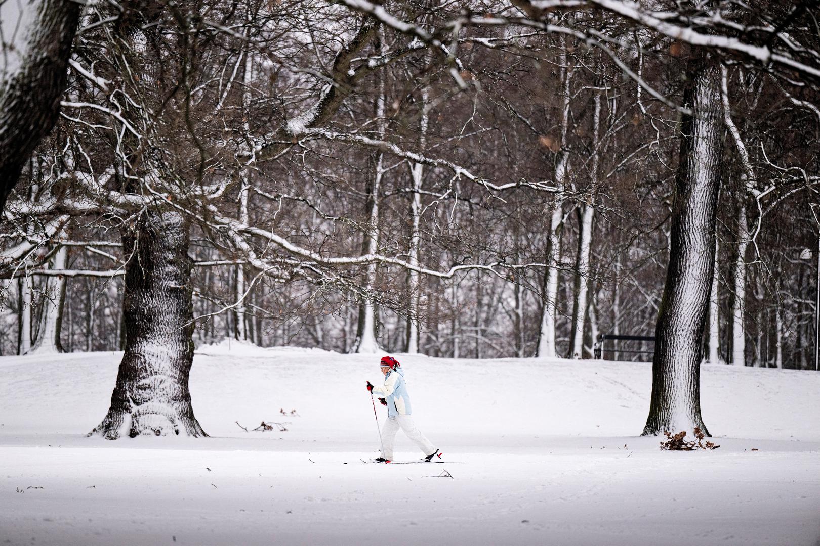A person skis in the snow in Soendermarken, Frederiksberg, Denmark January 17, 2024. Nils Meilvang/Ritzau Scanpix/via REUTERS    ATTENTION EDITORS - THIS IMAGE WAS PROVIDED BY A THIRD PARTY. DENMARK OUT. NO COMMERCIAL OR EDITORIAL SALES IN DENMARK. Photo: RITZAU SCANPIX/REUTERS