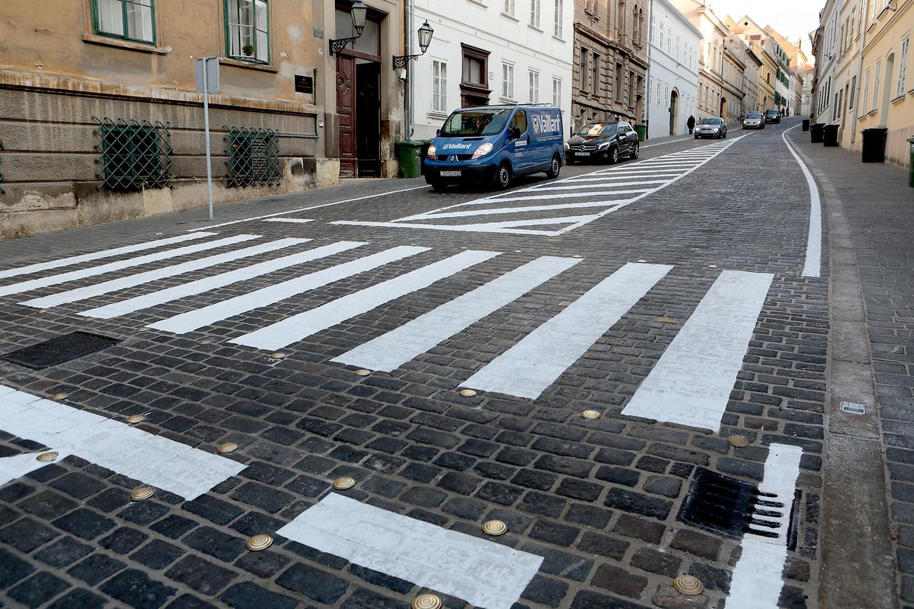 Zebre u Mesničkoj