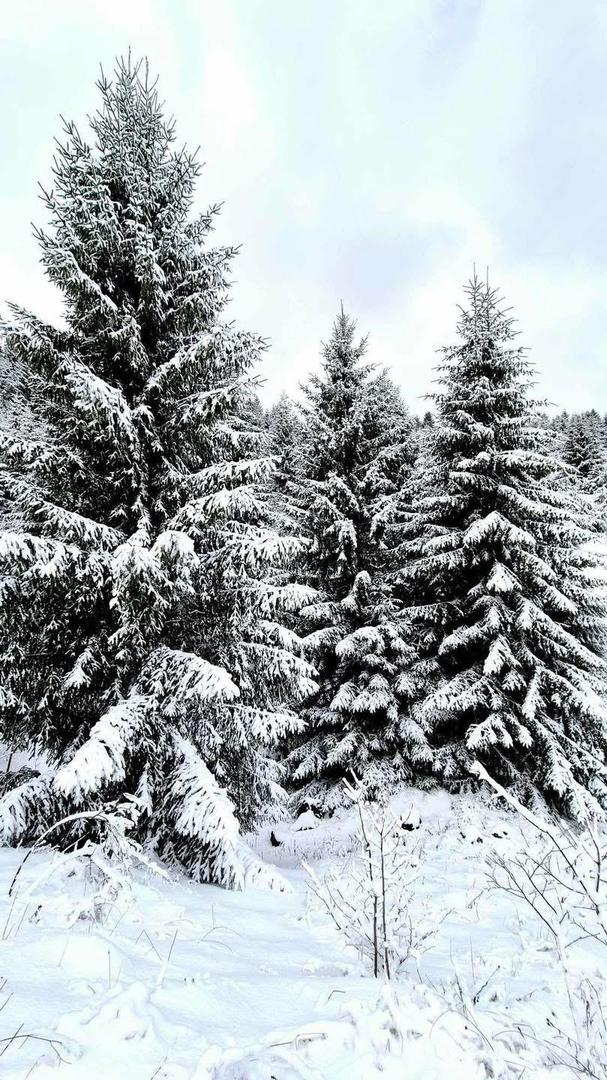 Snijega ima dosta i u Gospiću, 13 cm, u Ličkom Lešću ga je napadalo 10 centimetara, a u Delnicama i Bosiljevu 9 cm.