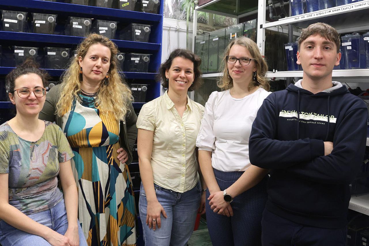 Institut Ruđer Bošković