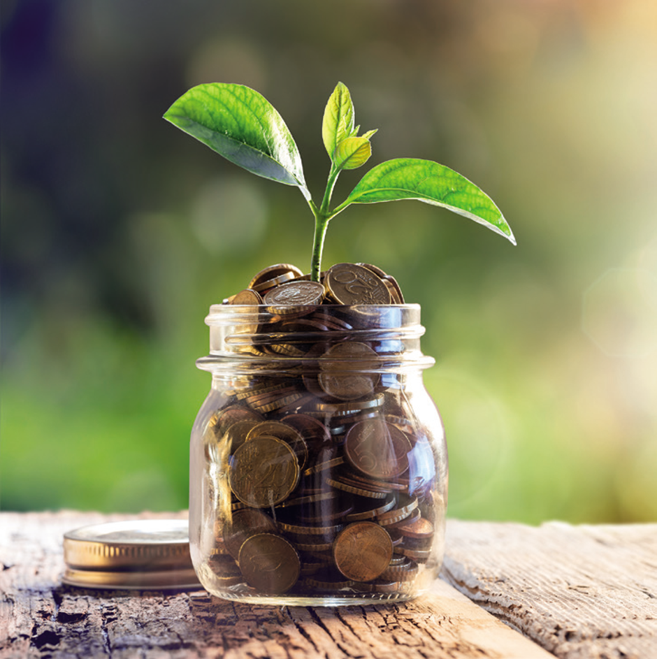 Vodič o uvođenju eura