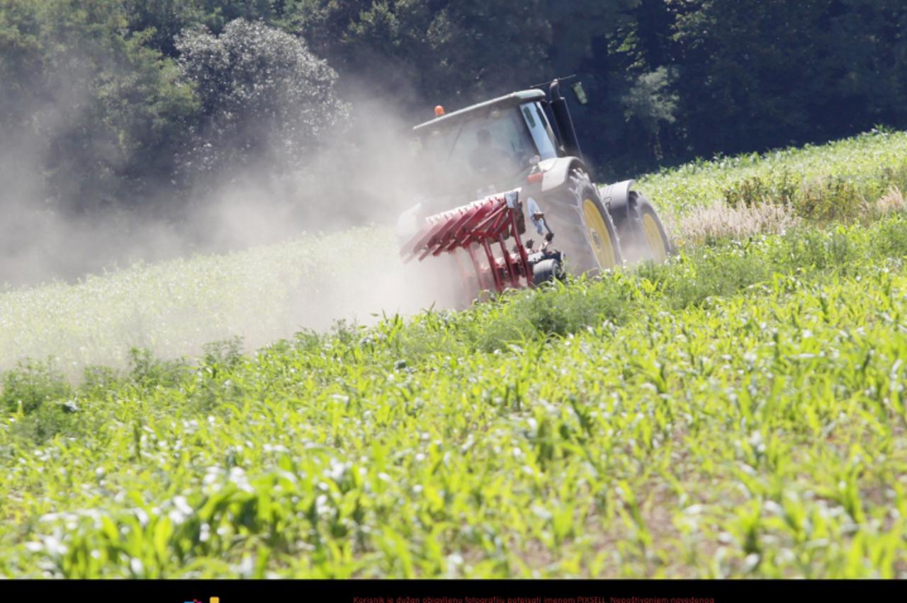 '12.08.2011., Koprivnica - Drazen Kusenic iz koprivnickog prigradskog naselja Staglinec zaorao je vise od 20 hektara kukuruza koji je propao zbog suse. Sjetva ga je kostala je 60 tisuca kuna, koje ce 