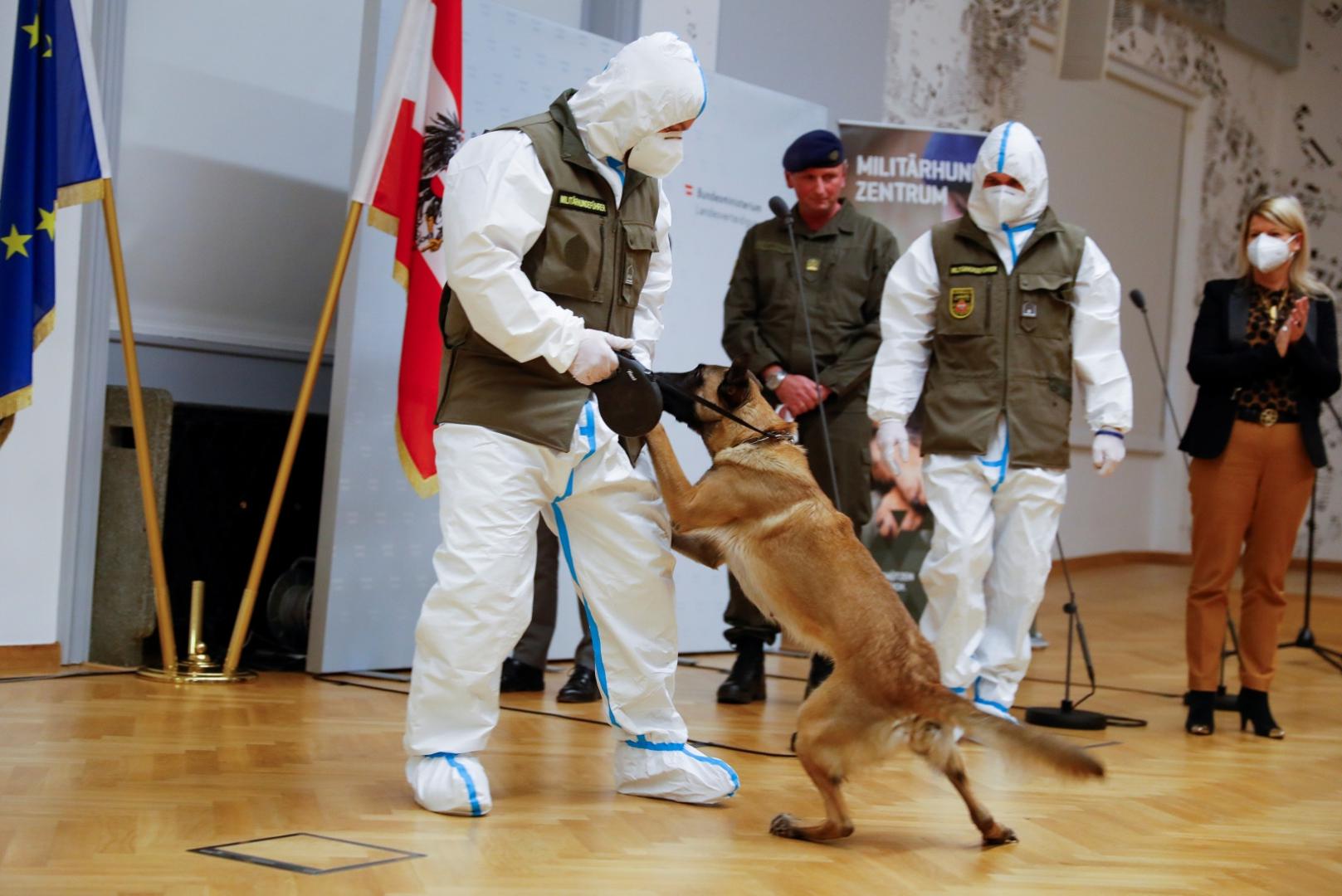 Presentation of Fantasy, a sniffer dog trained to detect COVID-19, in Vienna Austrian Defence Minister Klaudia Tanner applauds during a presentation of Fantasy, a sniffer dog trained to detect the coronavirus disease (COVID-19) in Vienna, Austria December 14, 2020. REUTERS/Leonhard Foeger LEONHARD FOEGER