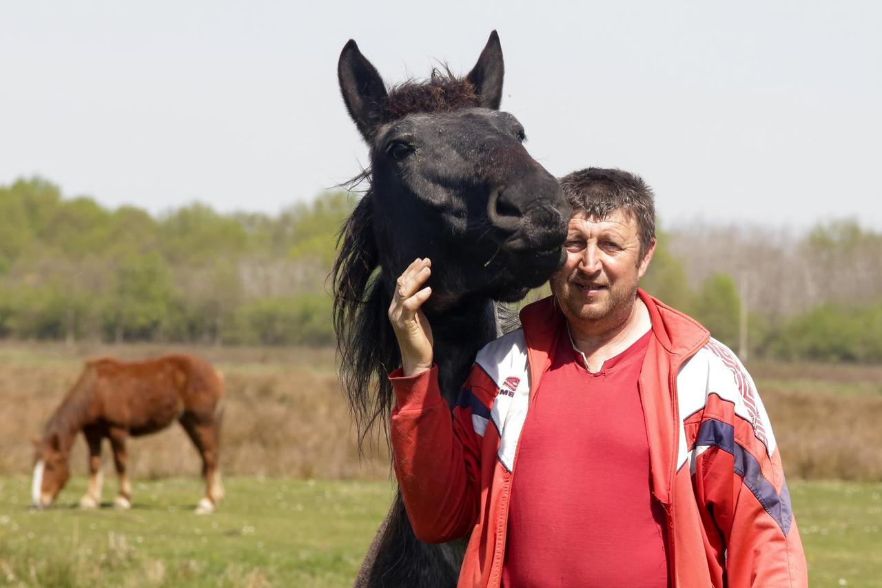 Zoran Kragojević