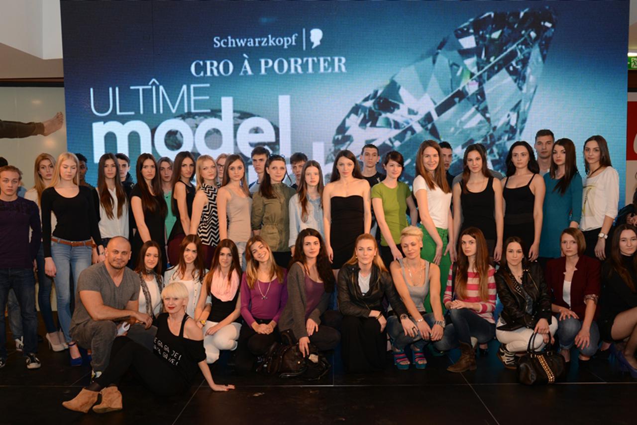 Ultime model search