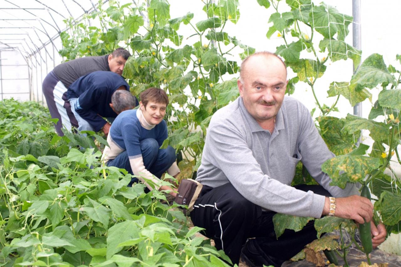 'Podravina-bilogora, 26.10.2012. Grubisno Polje Korisnici kazu da su jako zadovoljni jer je posao zanimljiv, nije tezak a i nesto novo nauce Michael Palijan / VLM'