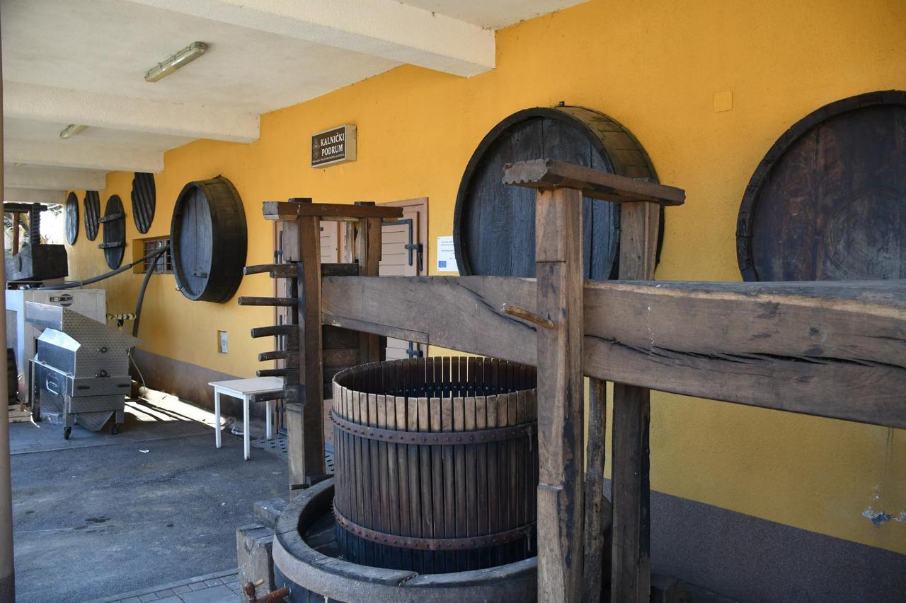 Mladen Kešer - bogati načelnik Kalnika s 279 nekretnina