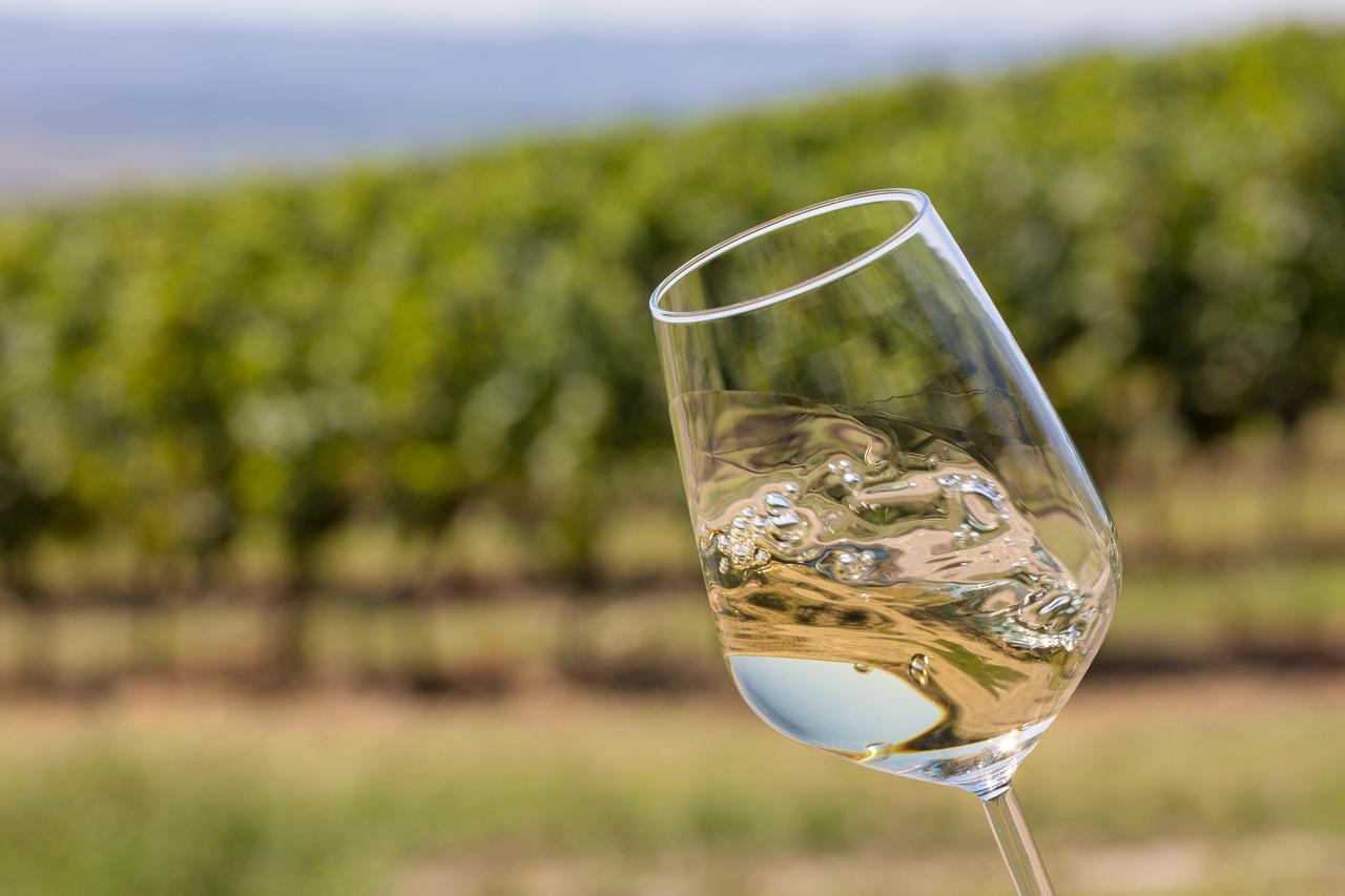 Zlatna Slavonija Eno&Gastro