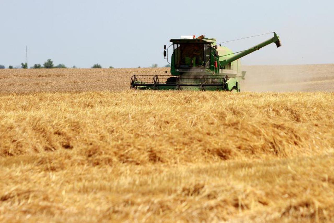 poljoprivreda njiva polje
