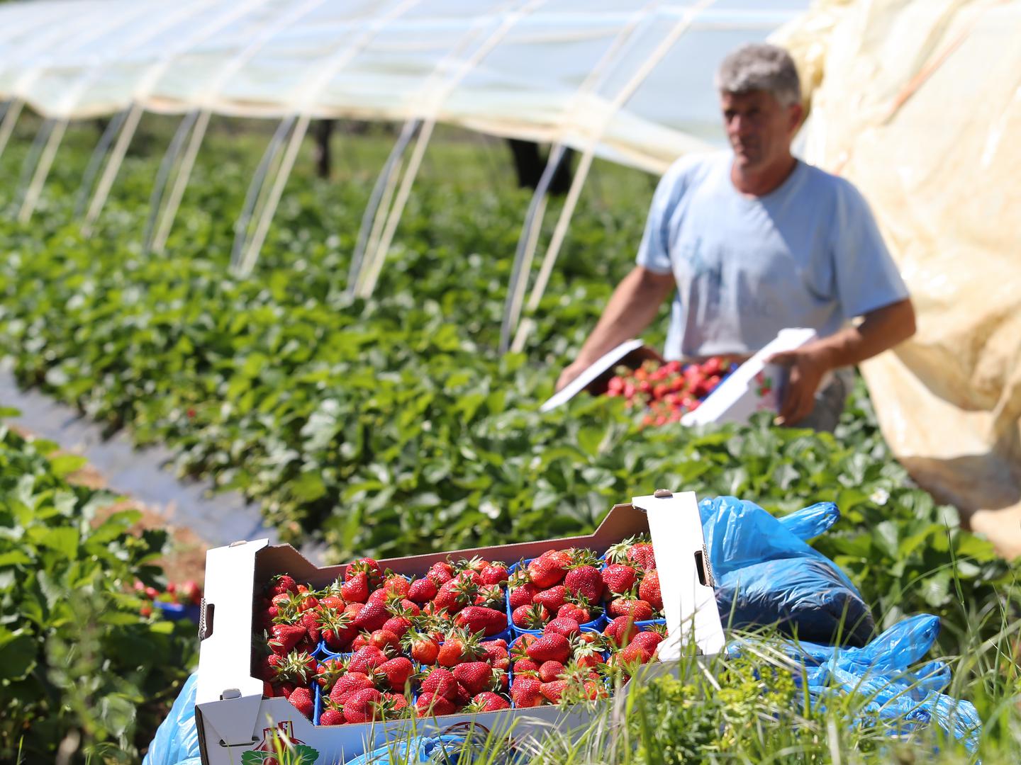 Želimo jasno definirati koji proizvođači zadovoljavaju propisane norme
