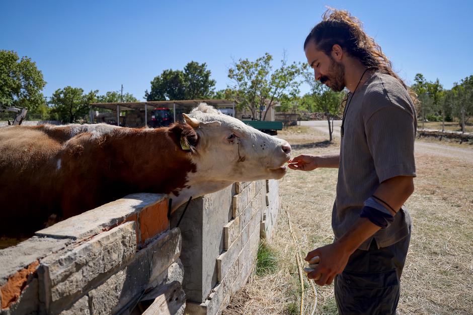 Rodaljice: Agroturizam “Srce Bukovice”