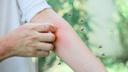 Mosquitoes' favorite targets: Science debunks 'sweet blood' myth