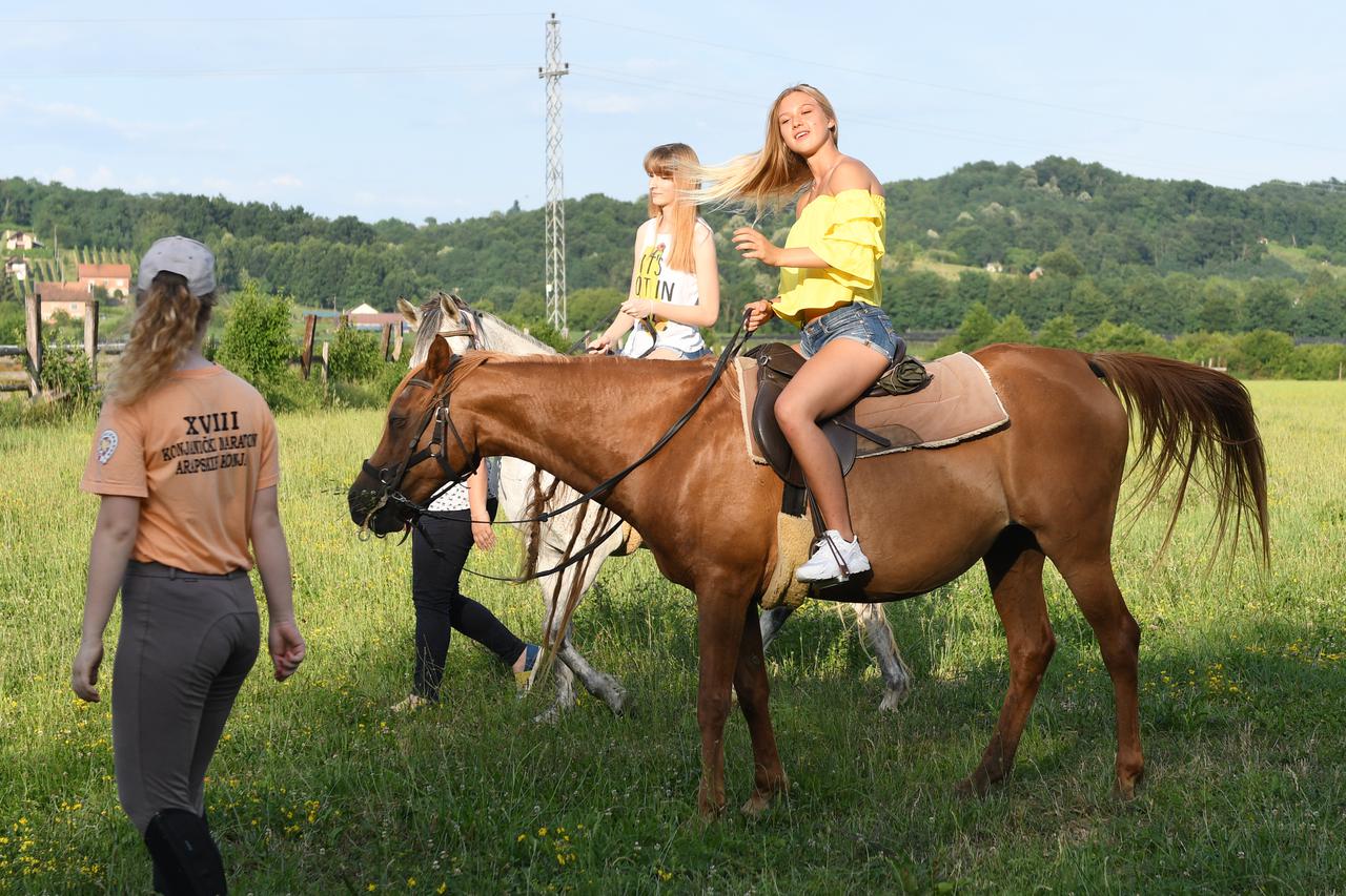 Miss sporta, finalistice
