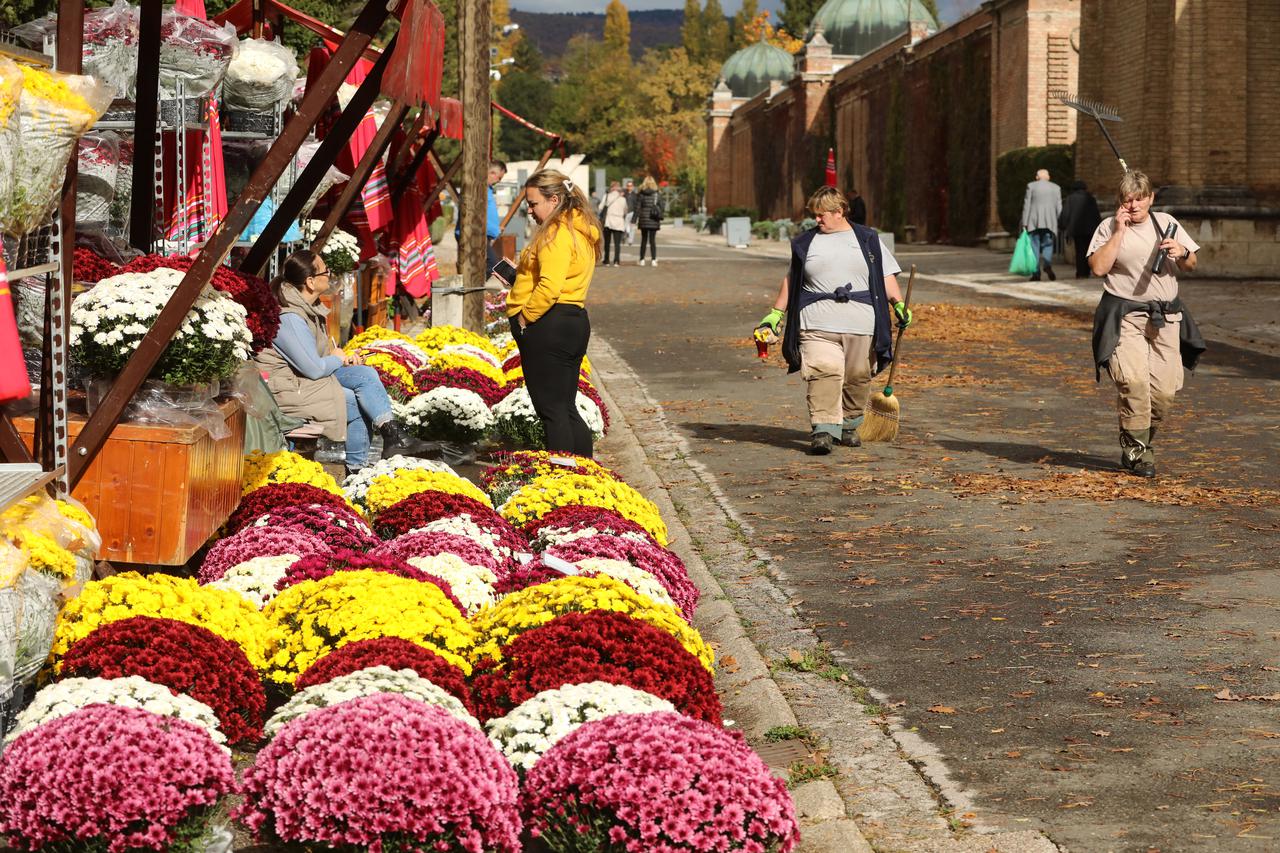 Zagreb: Reportaža o cijenama svijeća i cvijeća na Mirogoju uoči Svih svetih