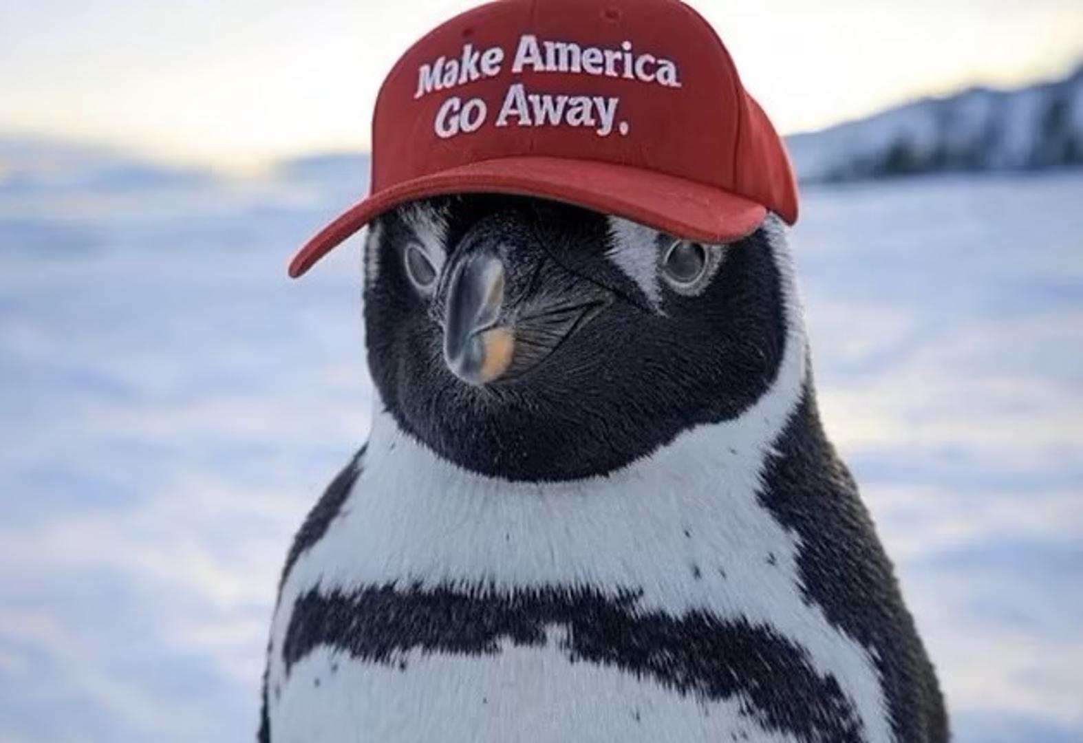 Beijing Business Daily podijelio je AI-generirani meme s pingvinom koji nosi crvenu kapu s natpisom 'Make America Go Away'. 