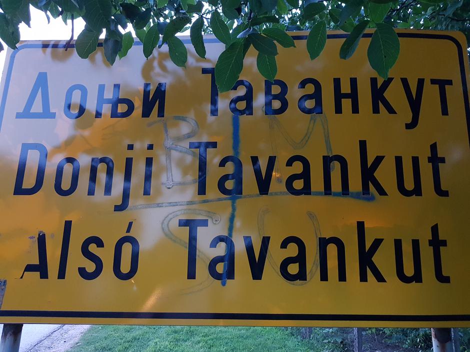 TAVANKUT